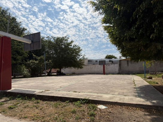 CANCHA - CAMINERA