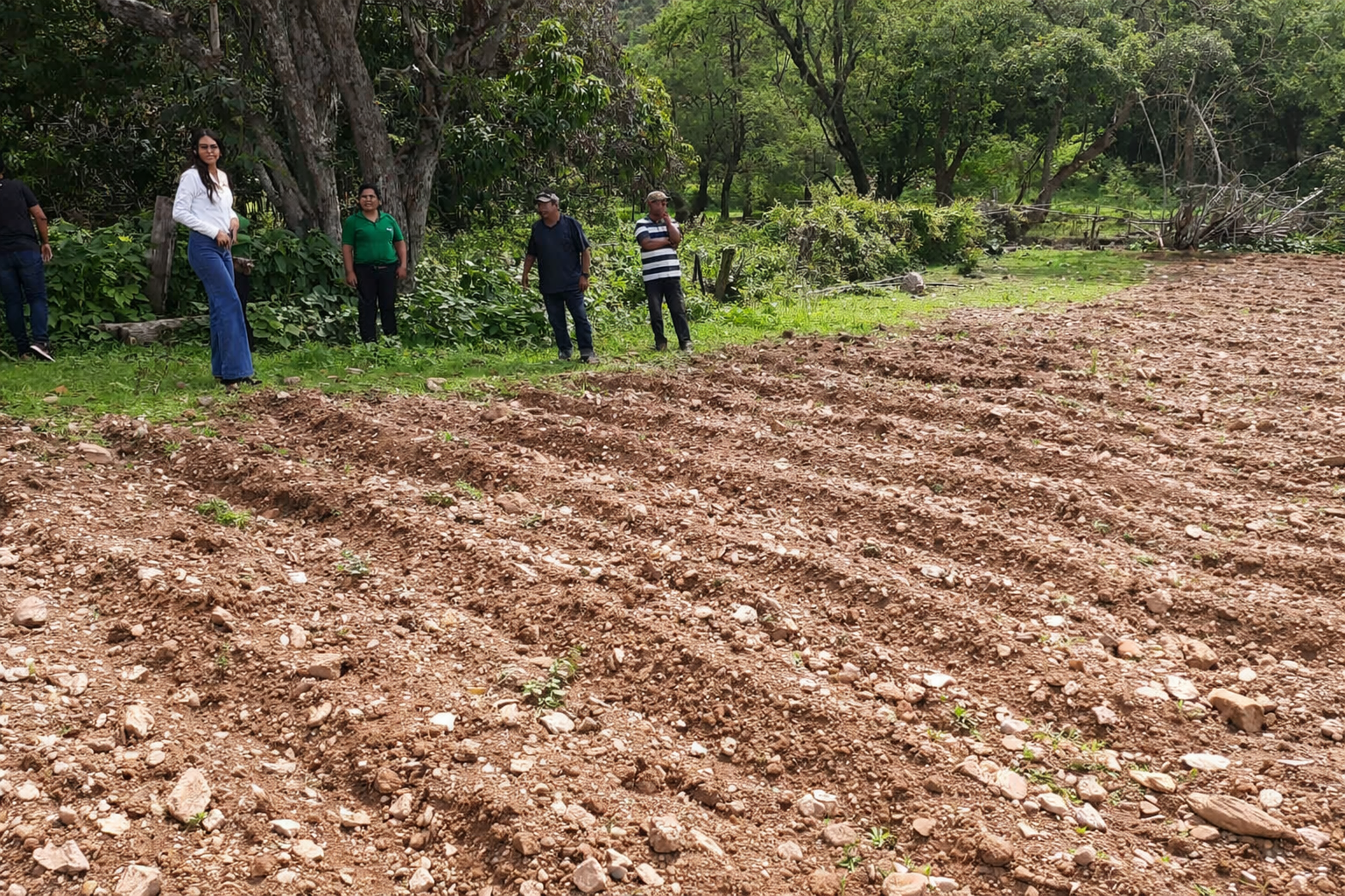 CANCHA EN POZO GUAMÚCHIL (PEDREGOSO)