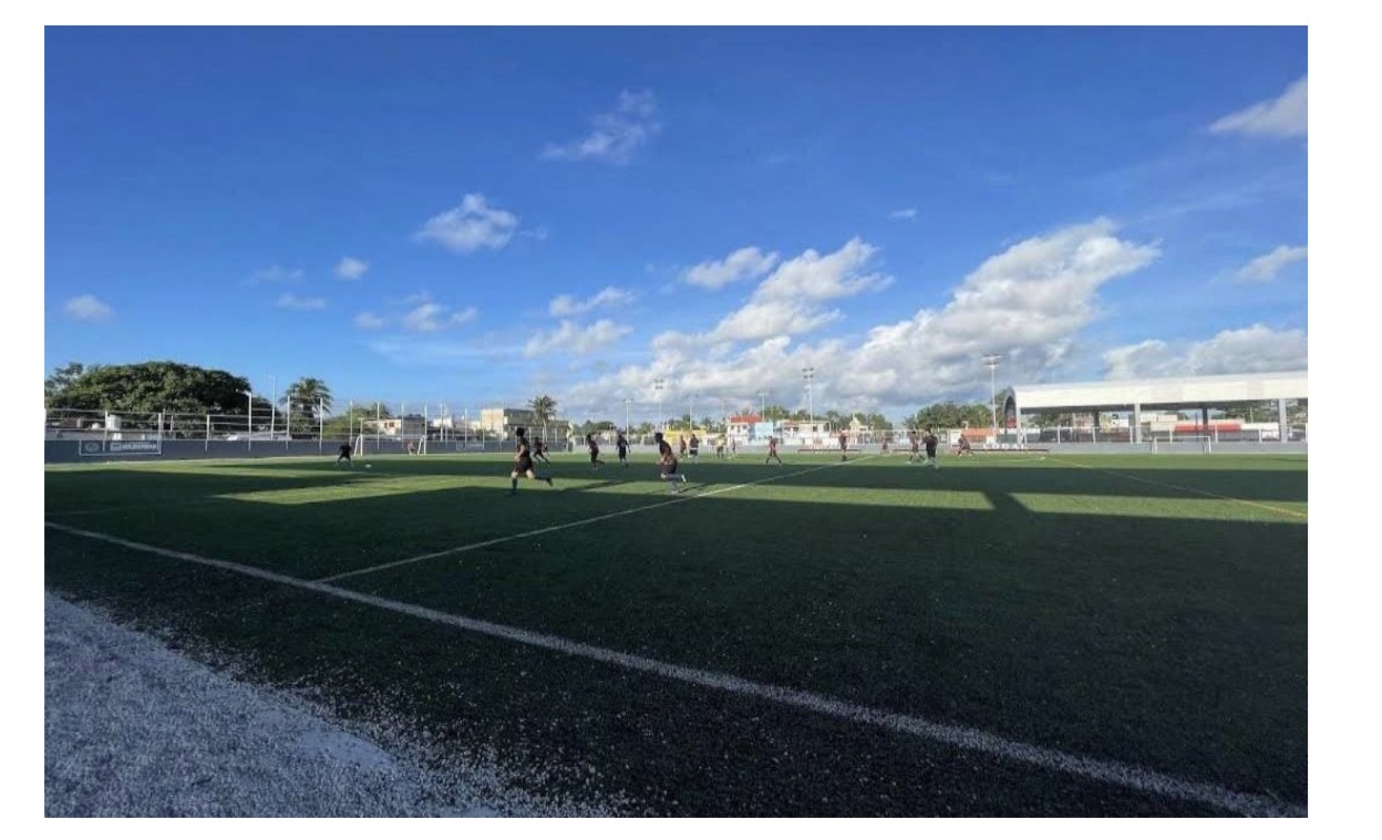 CANCHA DE FÚTBOL SOCCER UNIDAD DEPORTIVA POLIFORUM