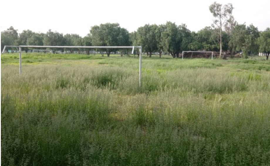 PARQUE TANGAMANGA 2