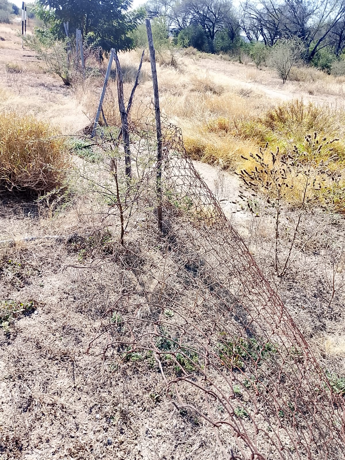 CANCHA EJIDO EL AMPARO