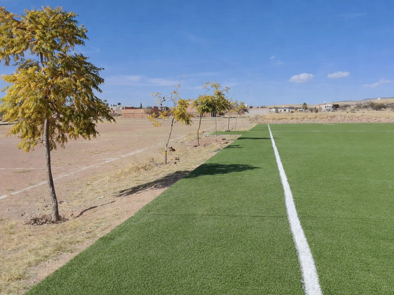 CANCHA FÚTBOL 11 LUIS MOYA