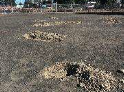 CANCHA EN UNIDAD DEPORTIVA FRANCISCO VILLA