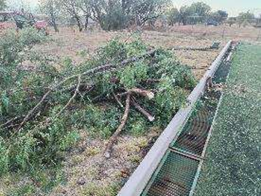 CANCHA EN UNIDAD DEPORTIVA HÉCTOR ESPARZA MORELOS