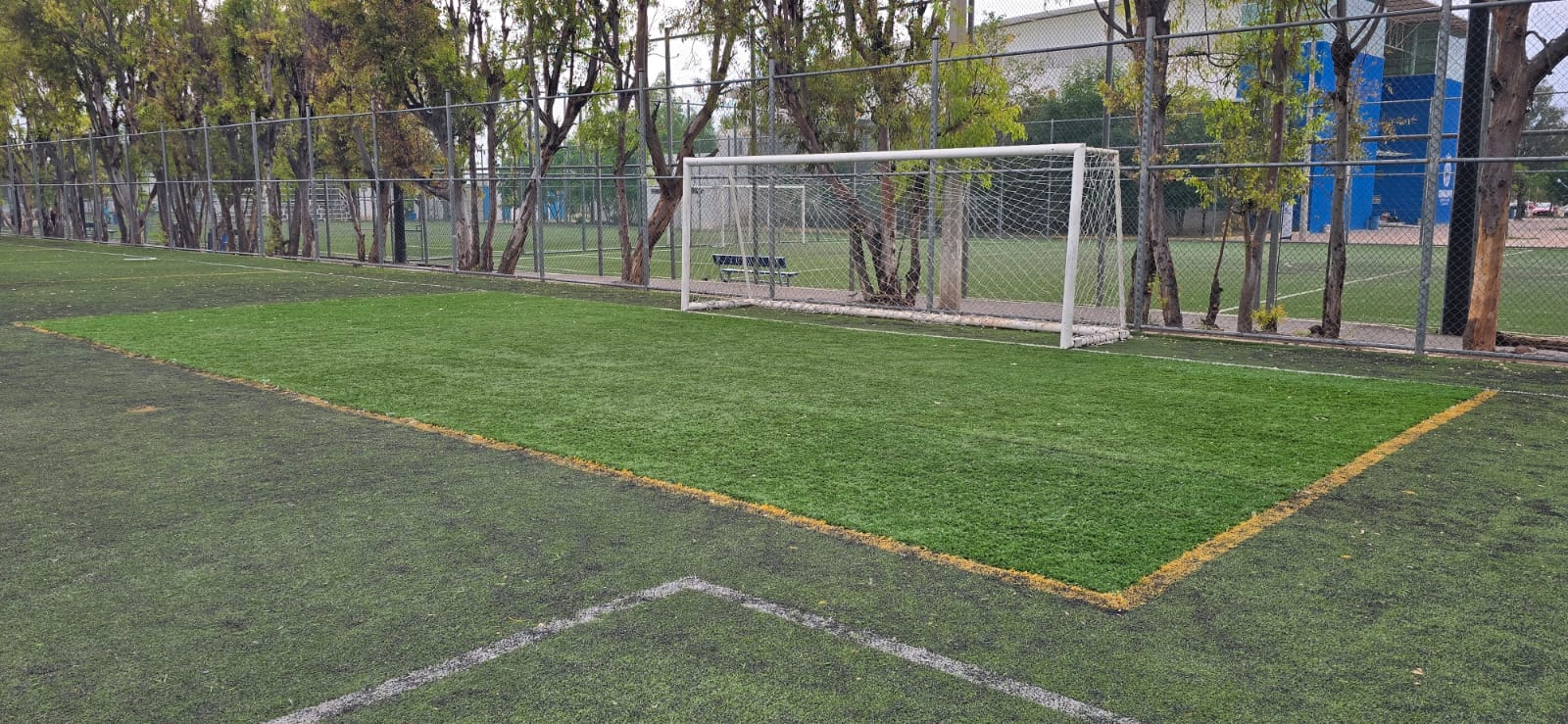 CAMPO PROFESIONAL FÚTBOL 11 CON DOS  MULTITRAZO DEPORTIVA LEON 1