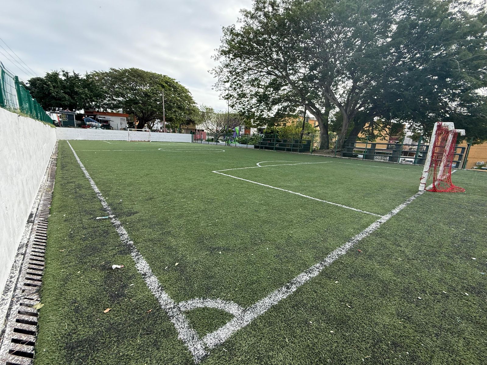 CAMPO JOAQUÍN DEL OLMO