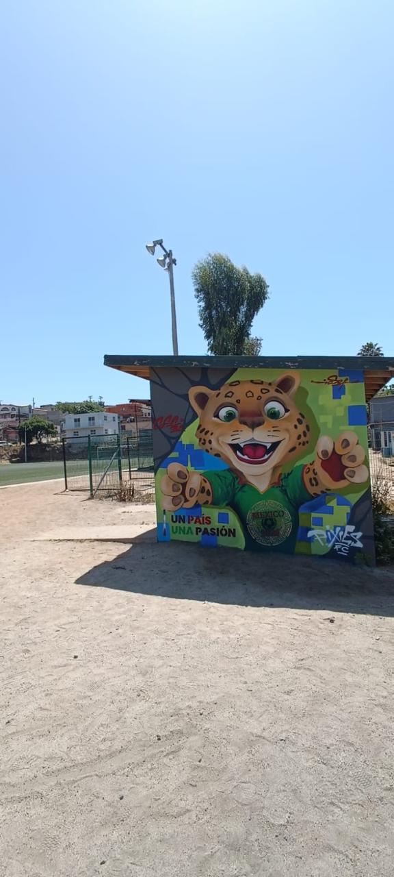 CAMPOS DE FÚTBOL CARMELITA