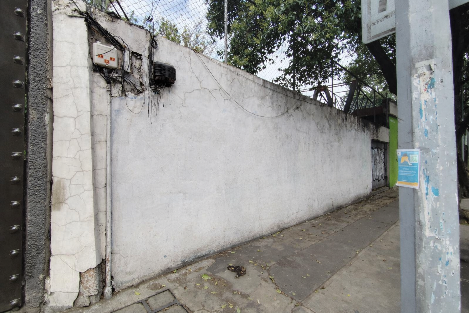 RAÍZ CANCHA Y PASIÓN