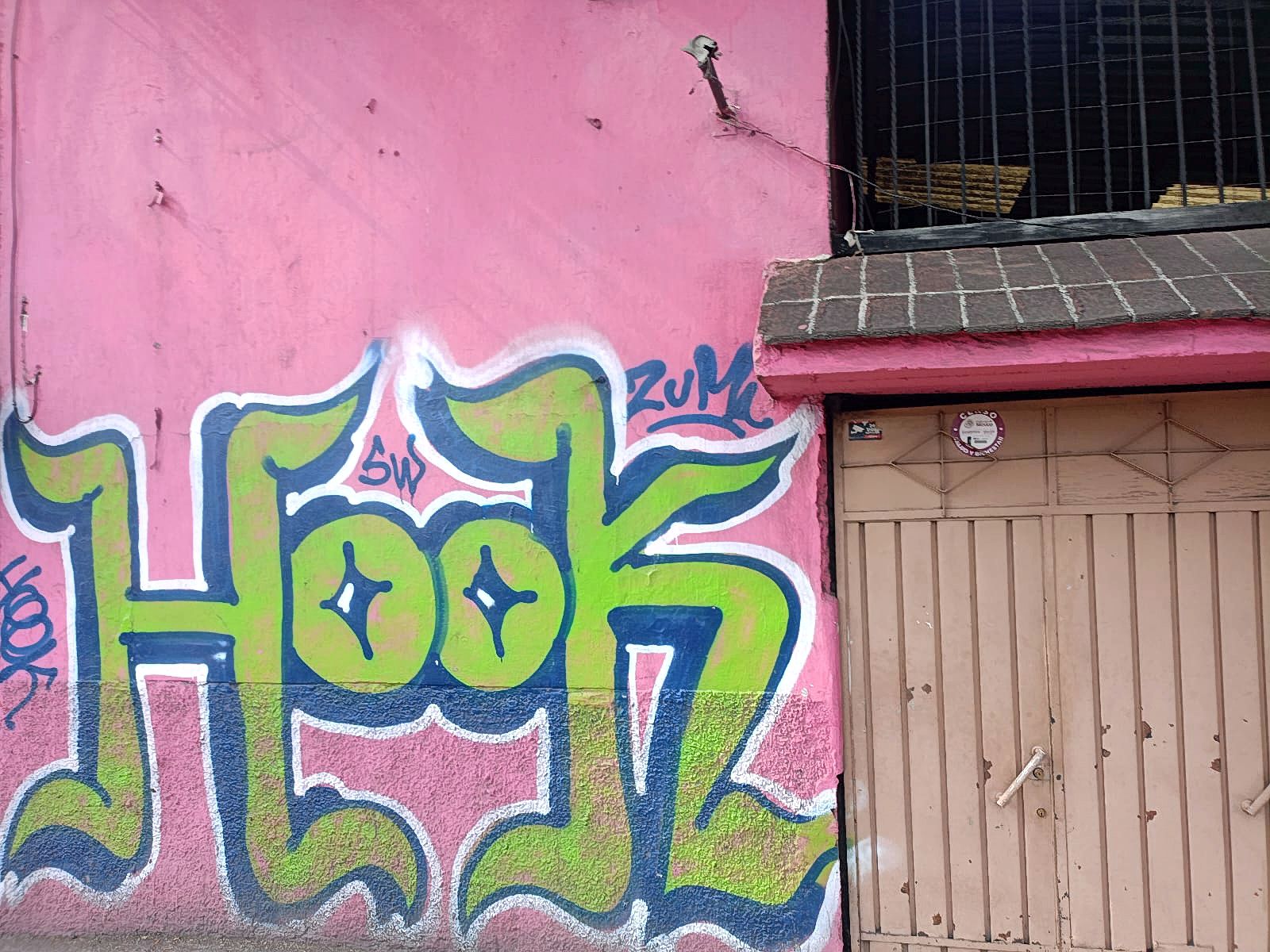 MURAL RAÍZ VIVA