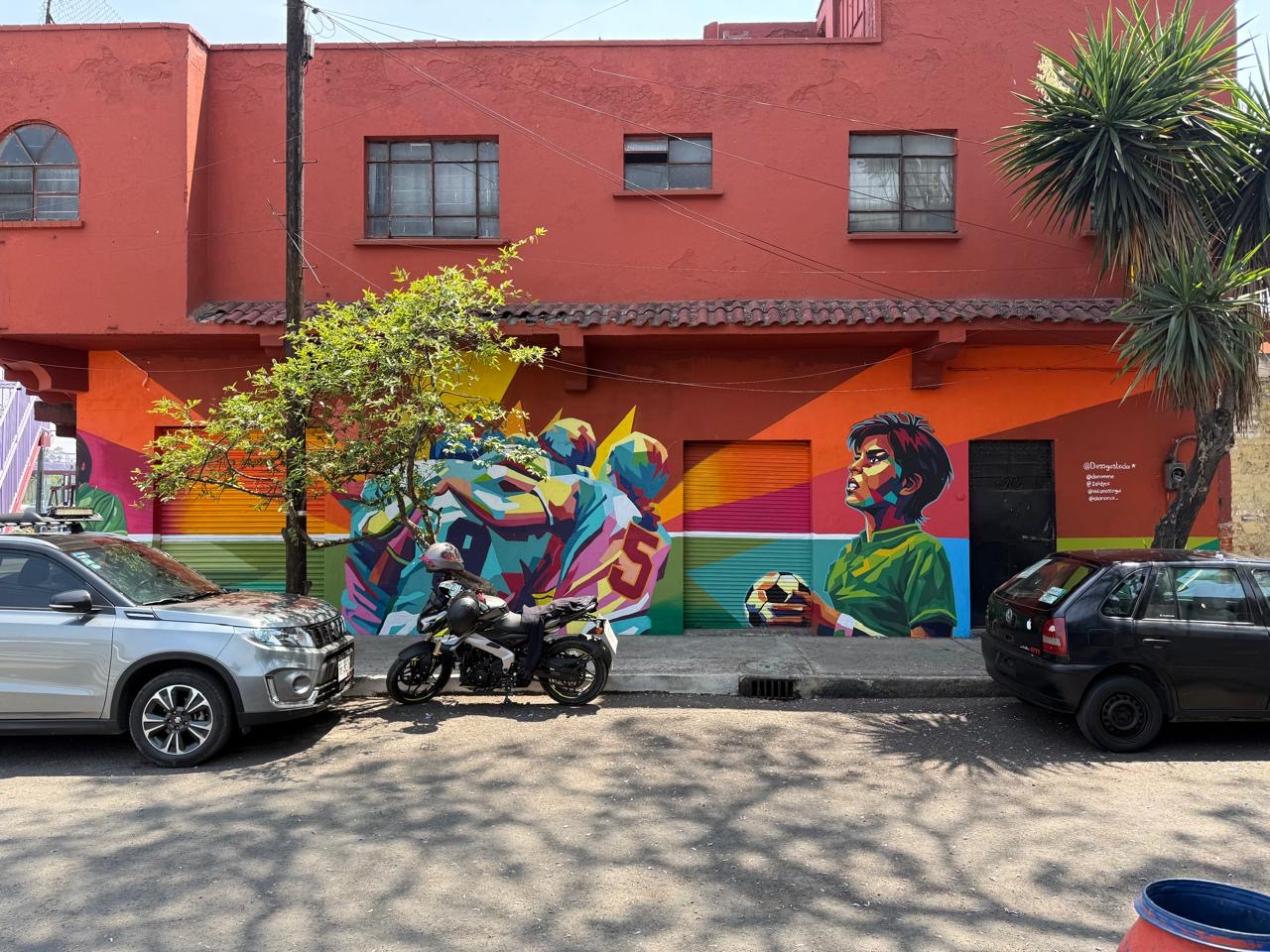 SELECCIÓN MEXICANA MUNDIAL DE 1971 - MURAL 1
