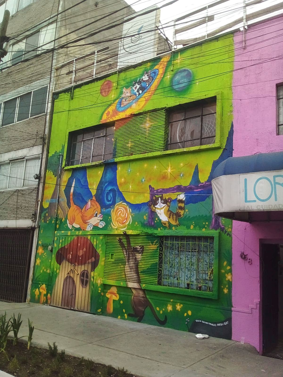 MURAL CASA DE GATOS