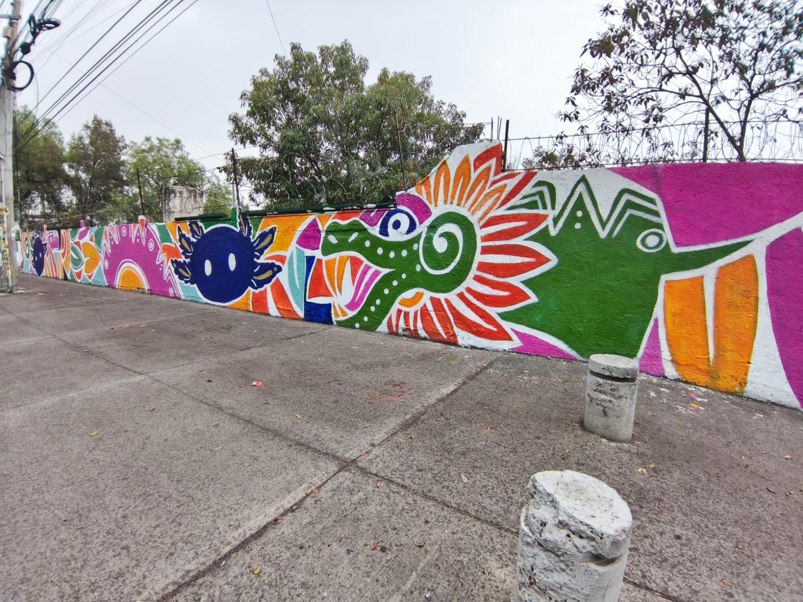 CENEFA MUNDIALISTA NOPALERA