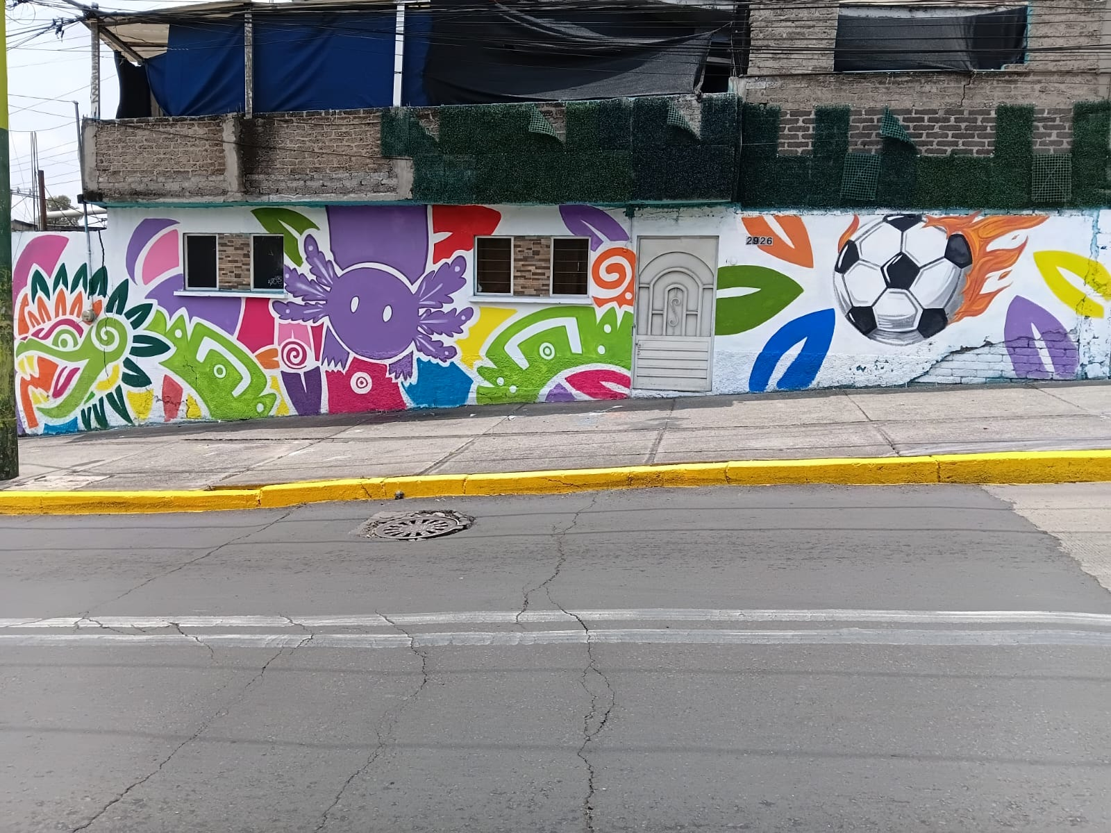 CÓDICE LA PELOTA SIEMPRE ESTUVO EN CASA 02