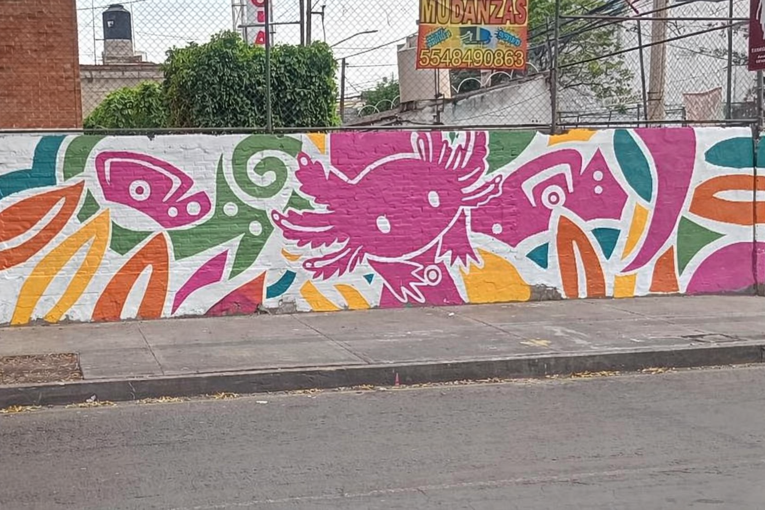 GRÁFICA MUNDIALISTA IZTACALCO 2