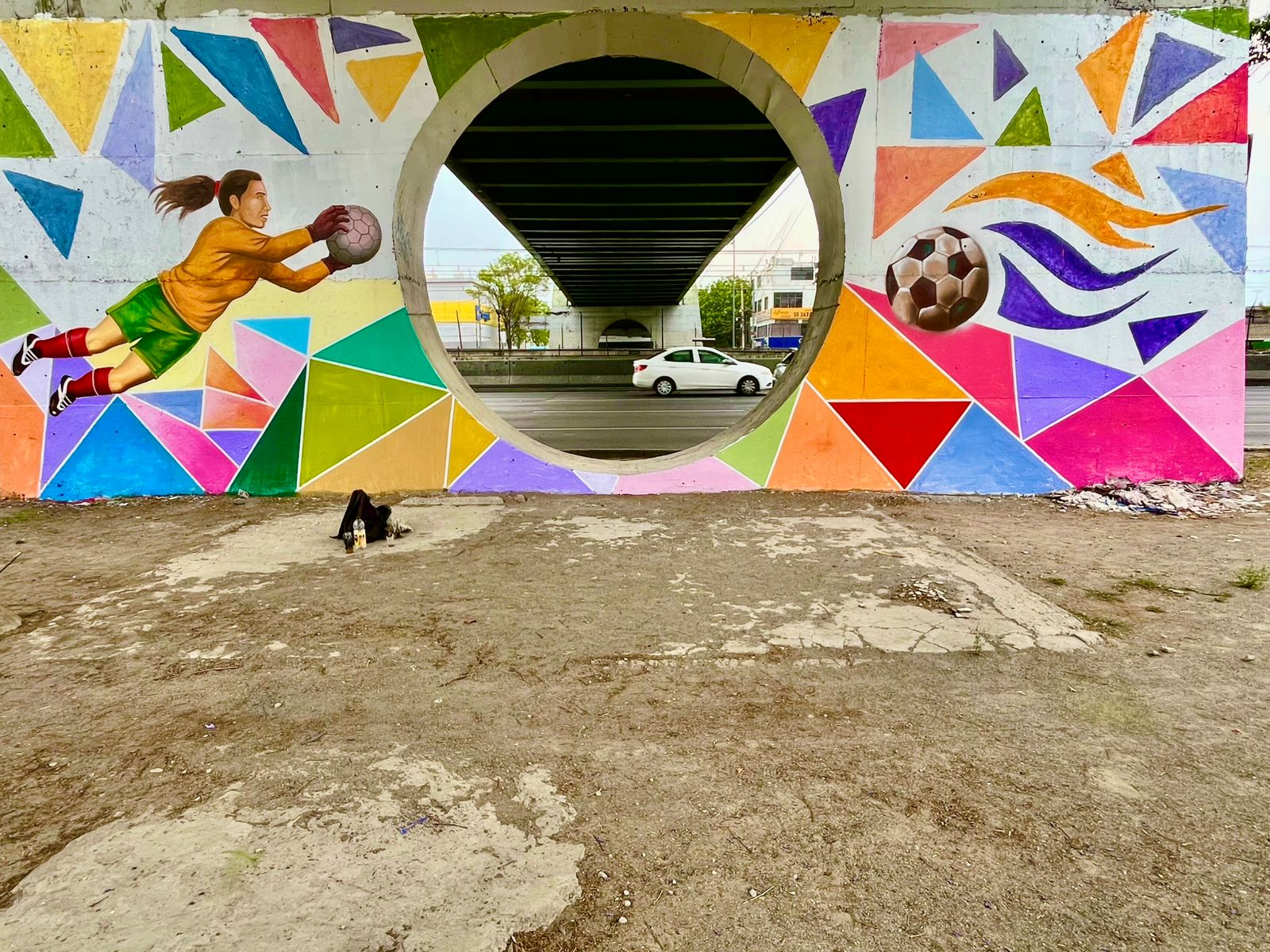 LA PELOTA VUELVE A CASA TEPALCATES 1