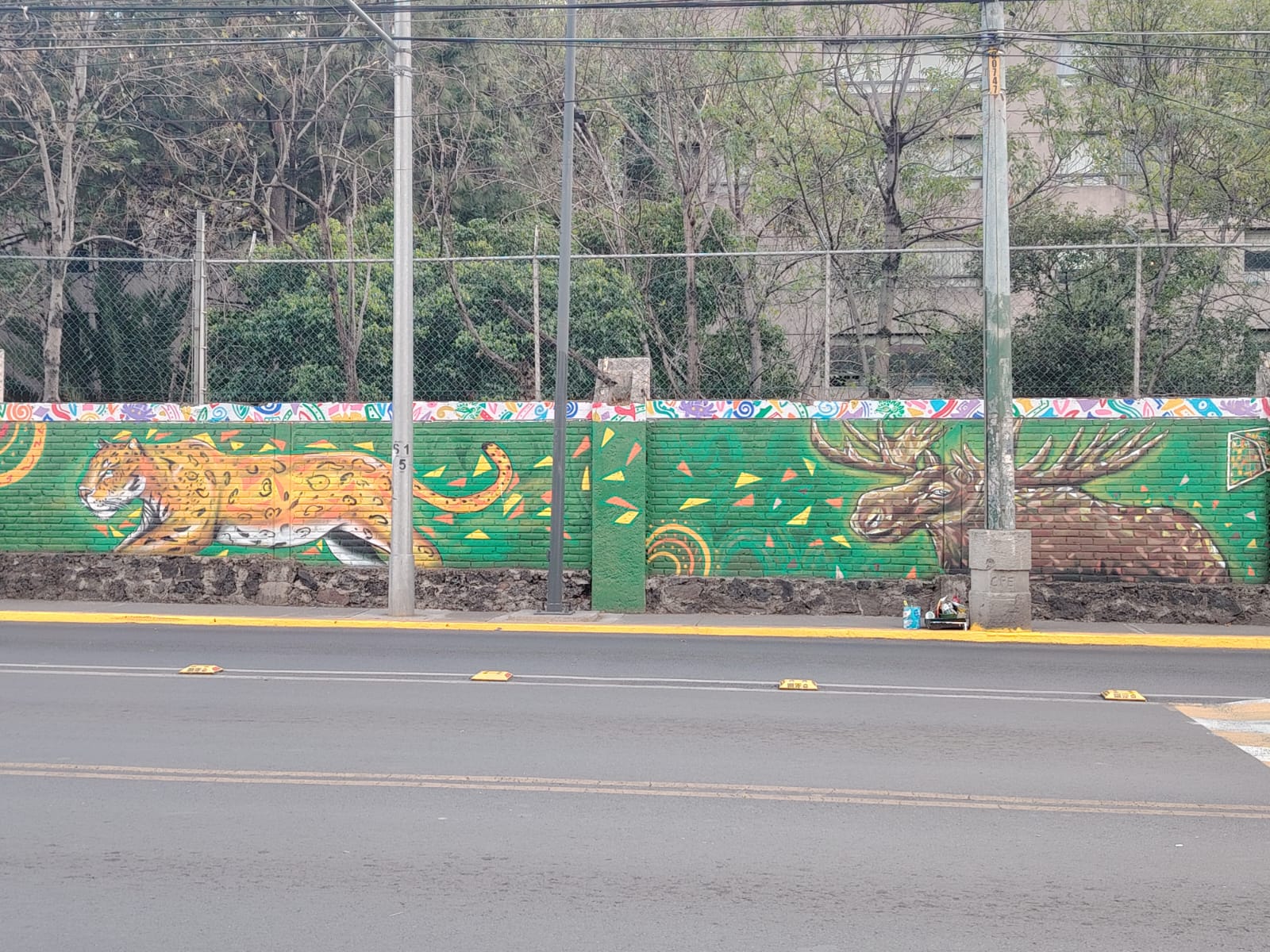 RAÍCES COMPARTIDAS