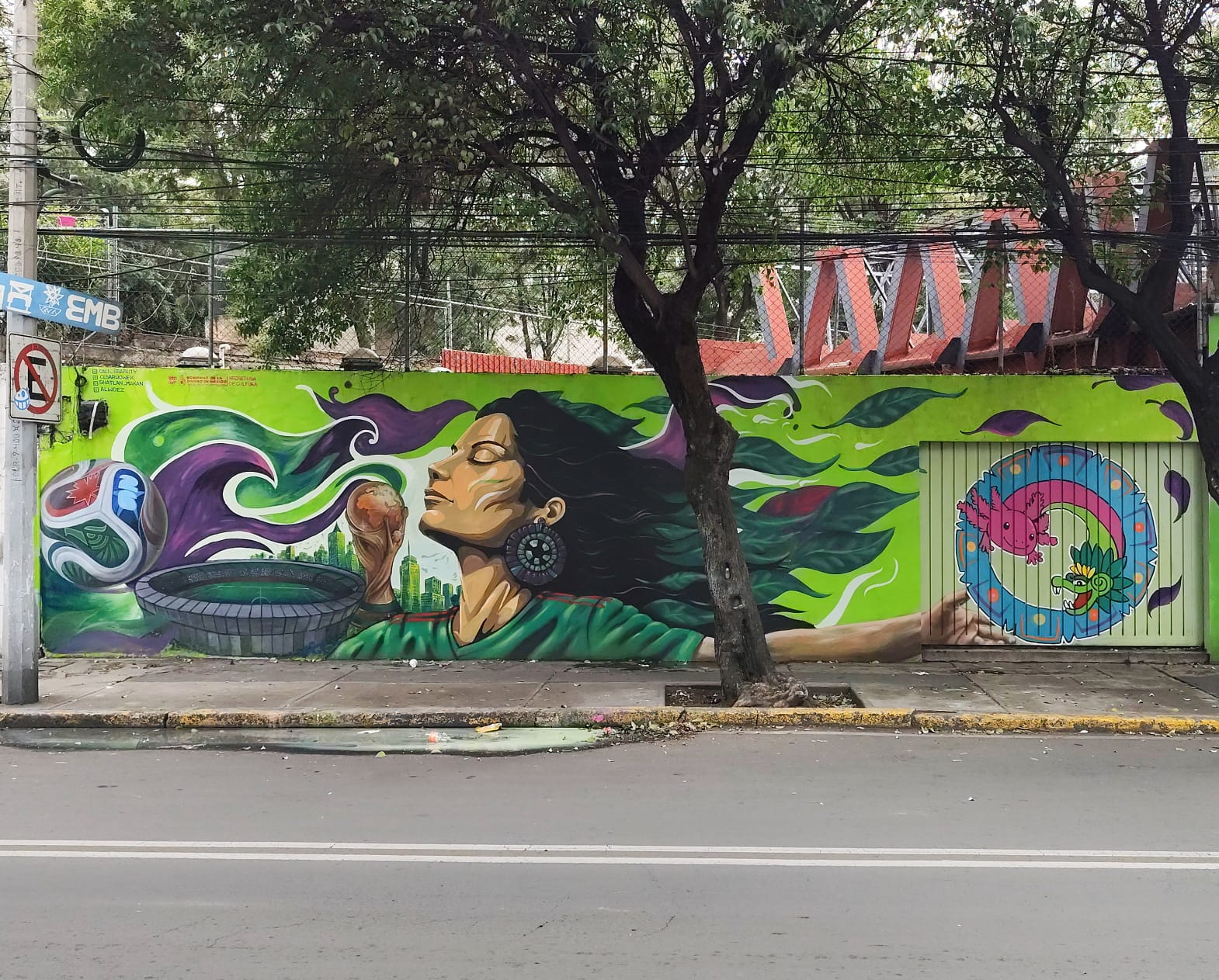RAÍZ CANCHA Y PASIÓN