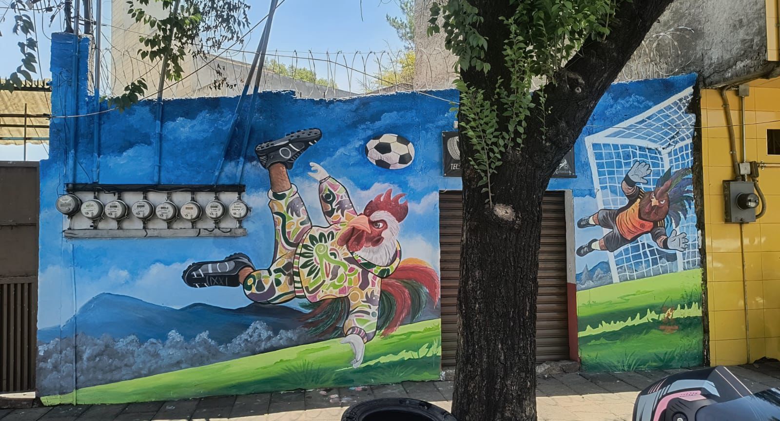 TODOS SOMOS FÚTBOL