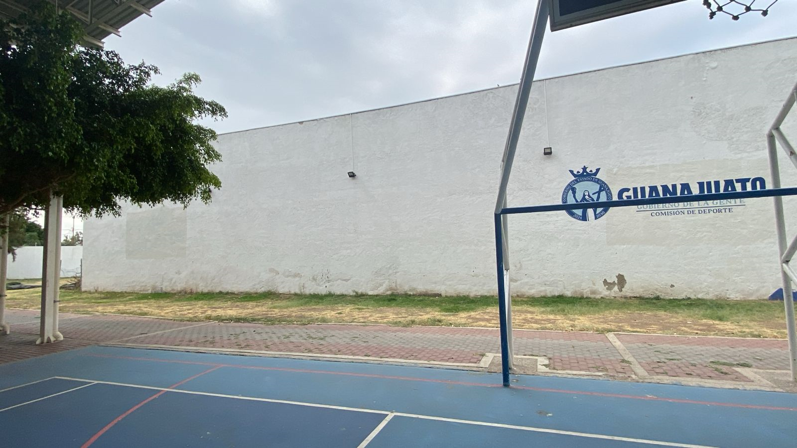 FUERZA FUTBOLERA
