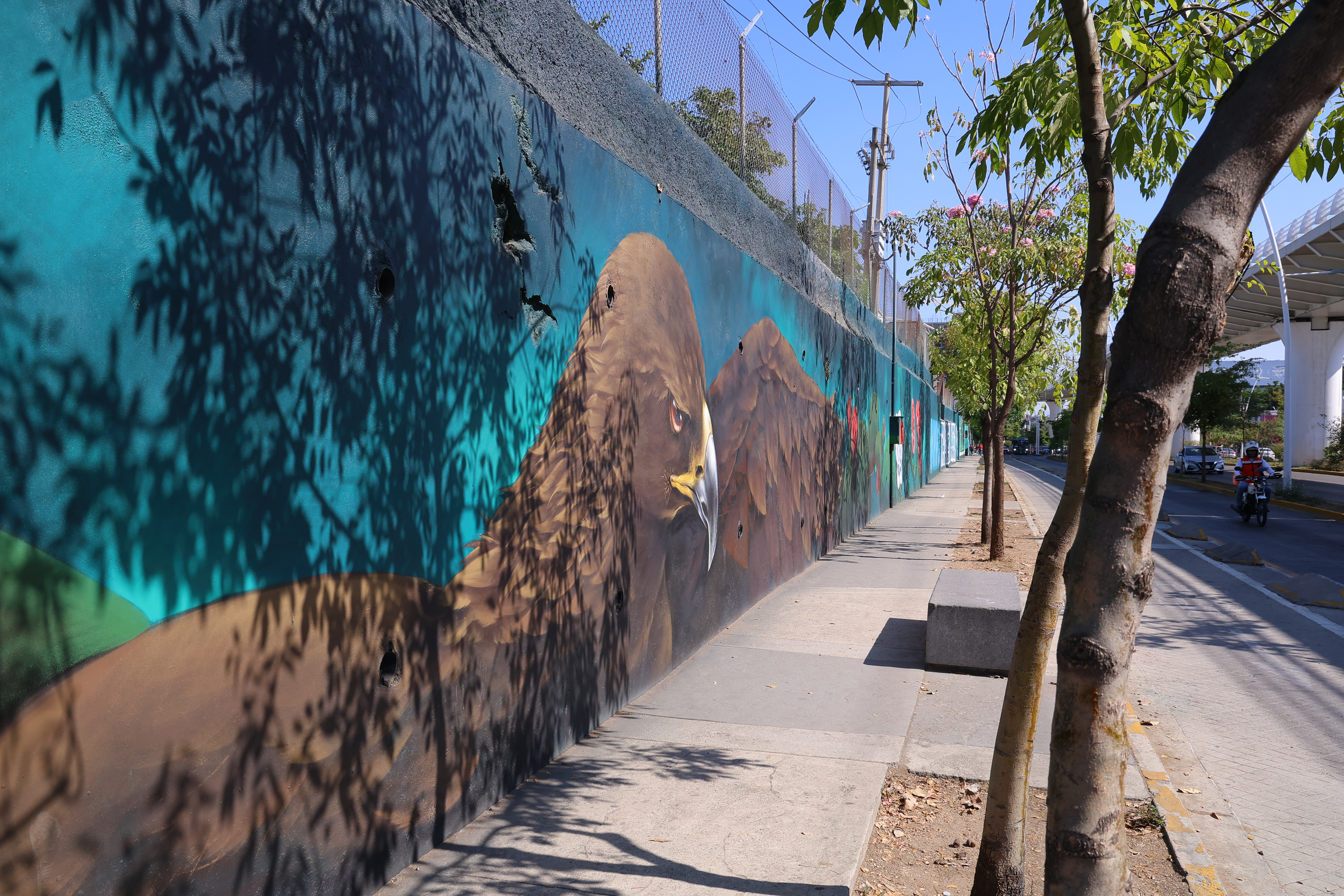 MURAL ÁGUILA