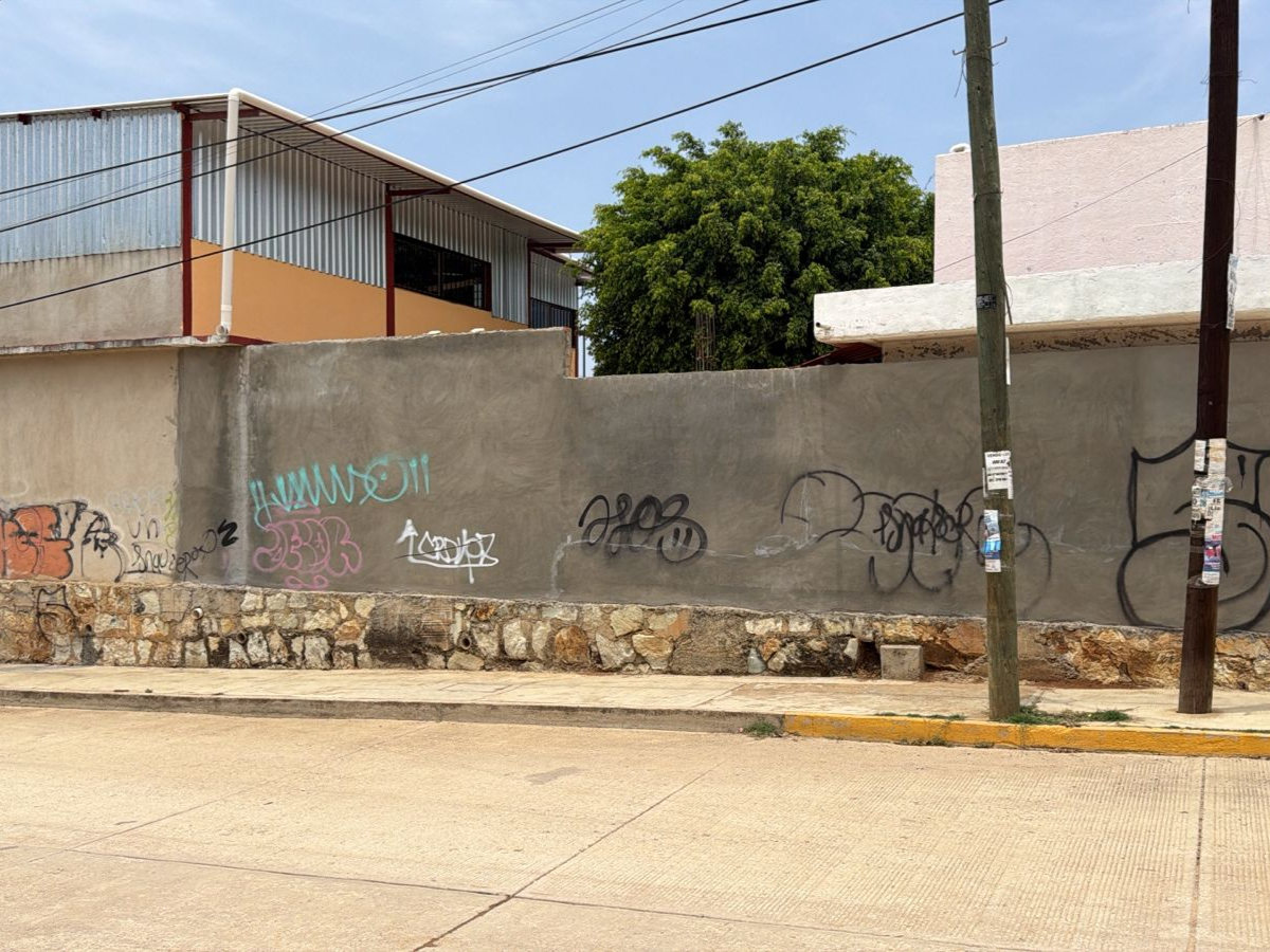 MURAL EN LA BARDA EXTERIOR DE LA ESCUELA TIERRA Y LIBERTAD