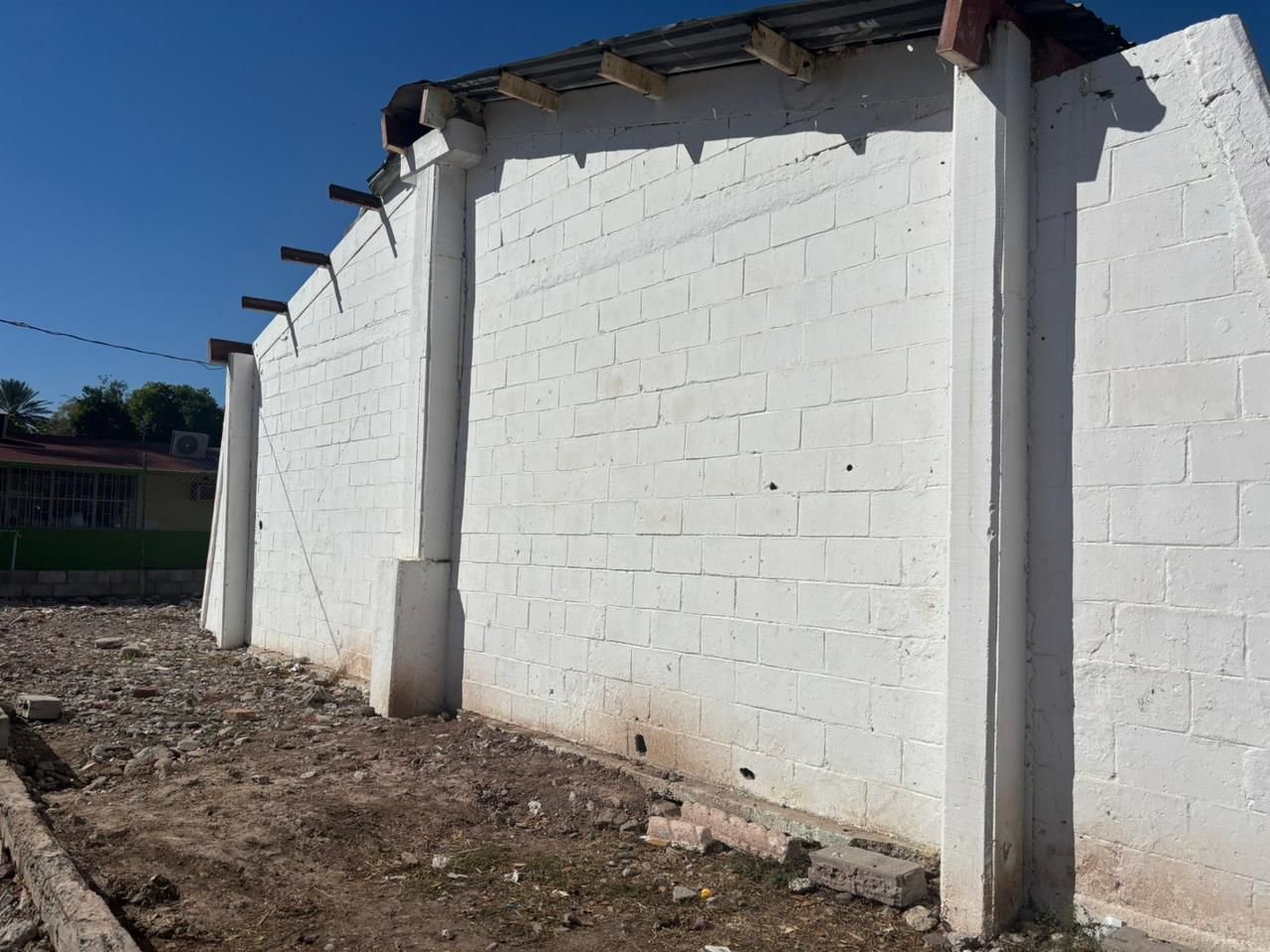 MURAL ROSALES