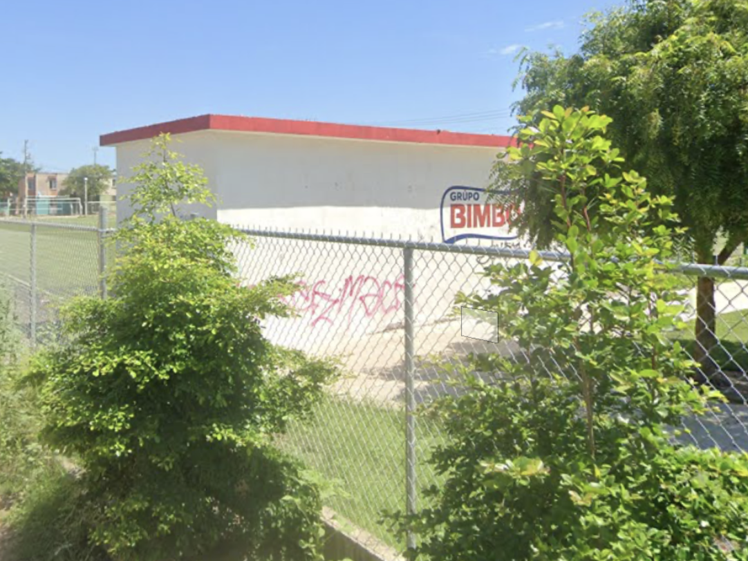 MURAL EN NAVOJOA