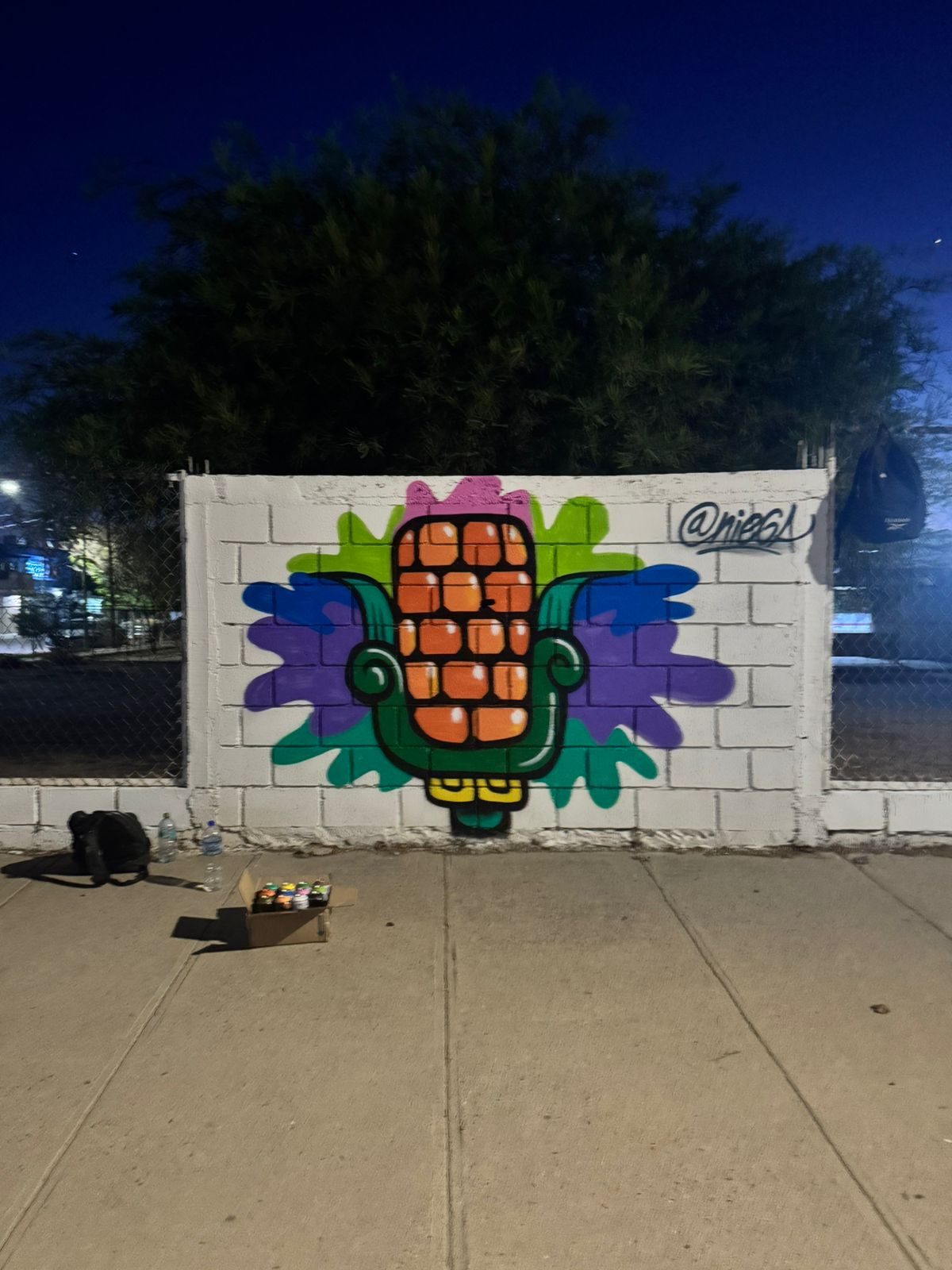 MURAL 28 EN HERMOSILLO
