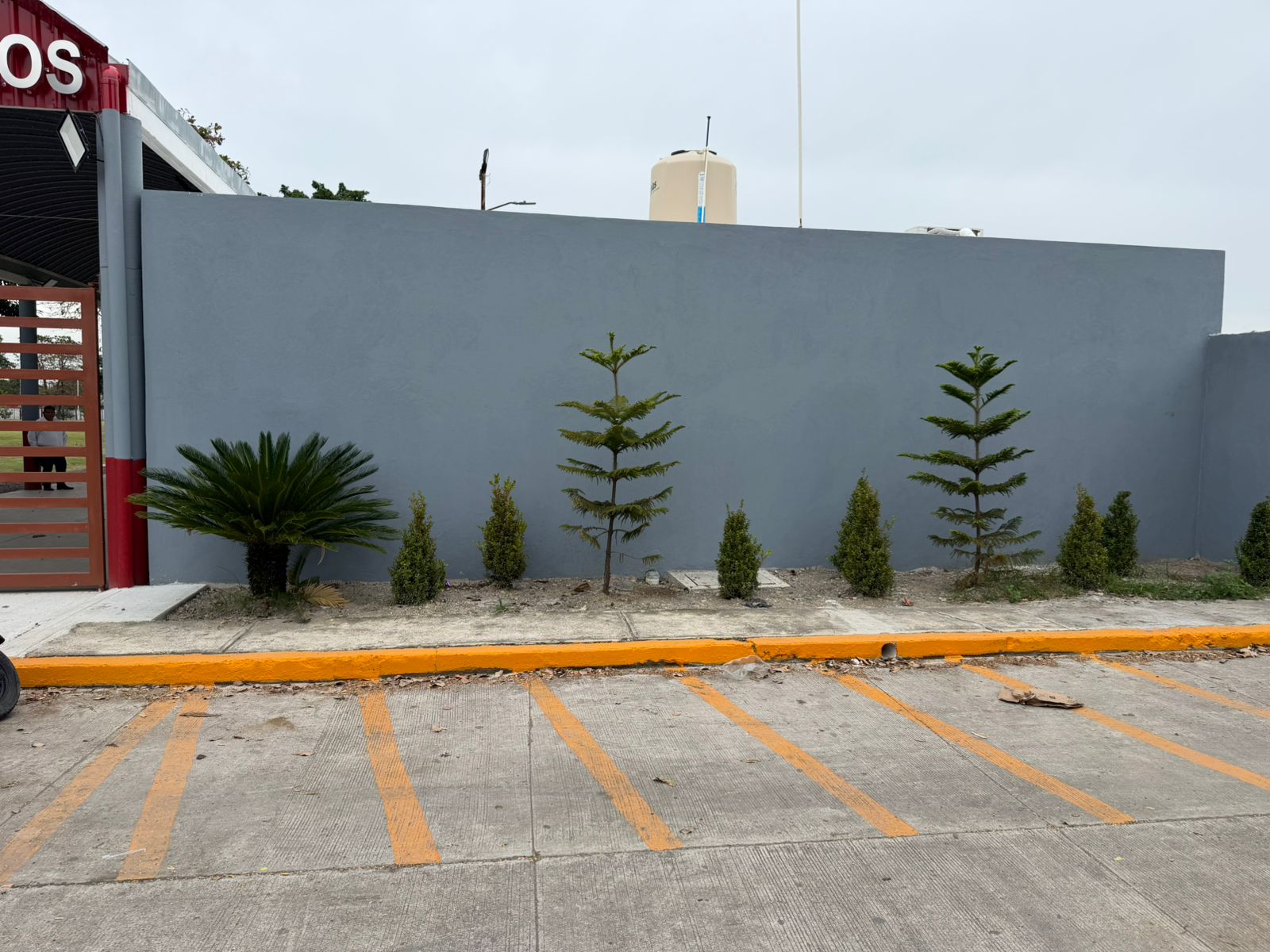 CAMPOS GEMELOS