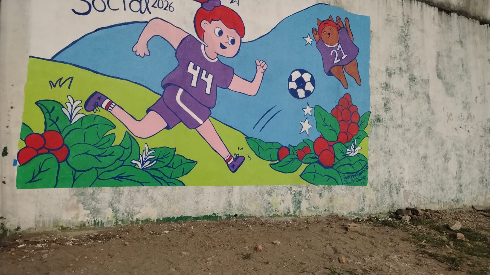 CANCHAS EXTERNAS DEL GIMNASIO EL MEXICANO