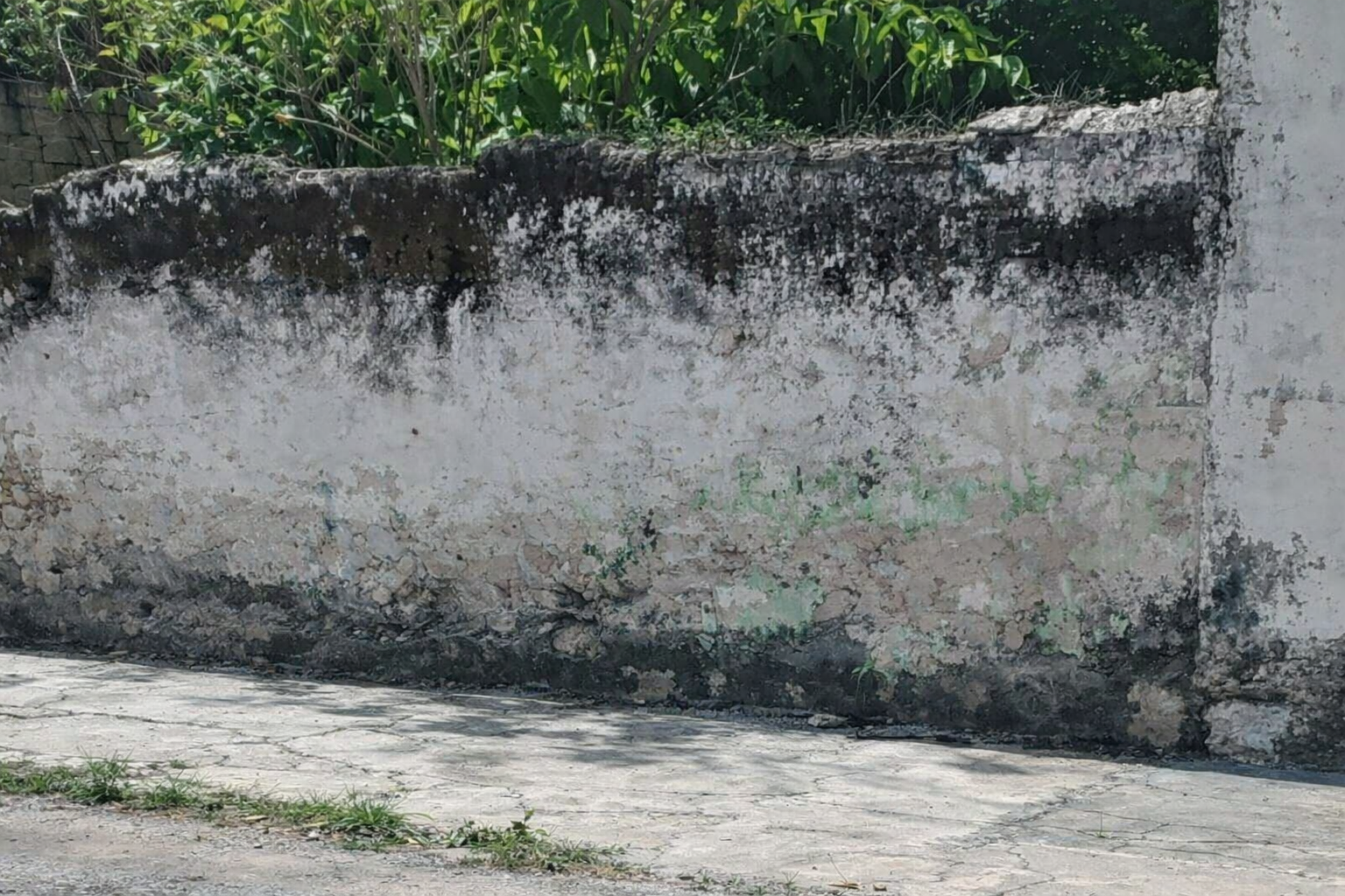 MURAL BARDA CENTRO SUMA DE HIDALGO