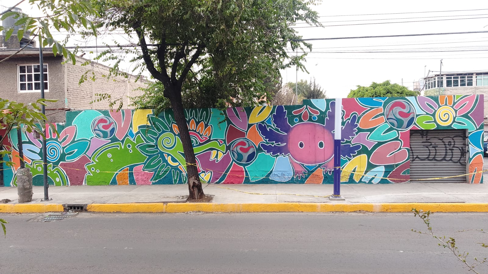 GRÁFICA MUNDIALISTA ERMITA 3