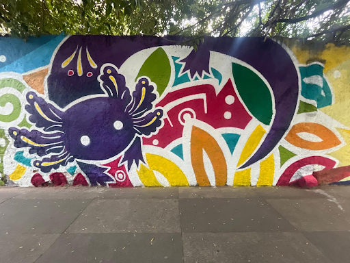 XOLOTL EN LA CIUDAD