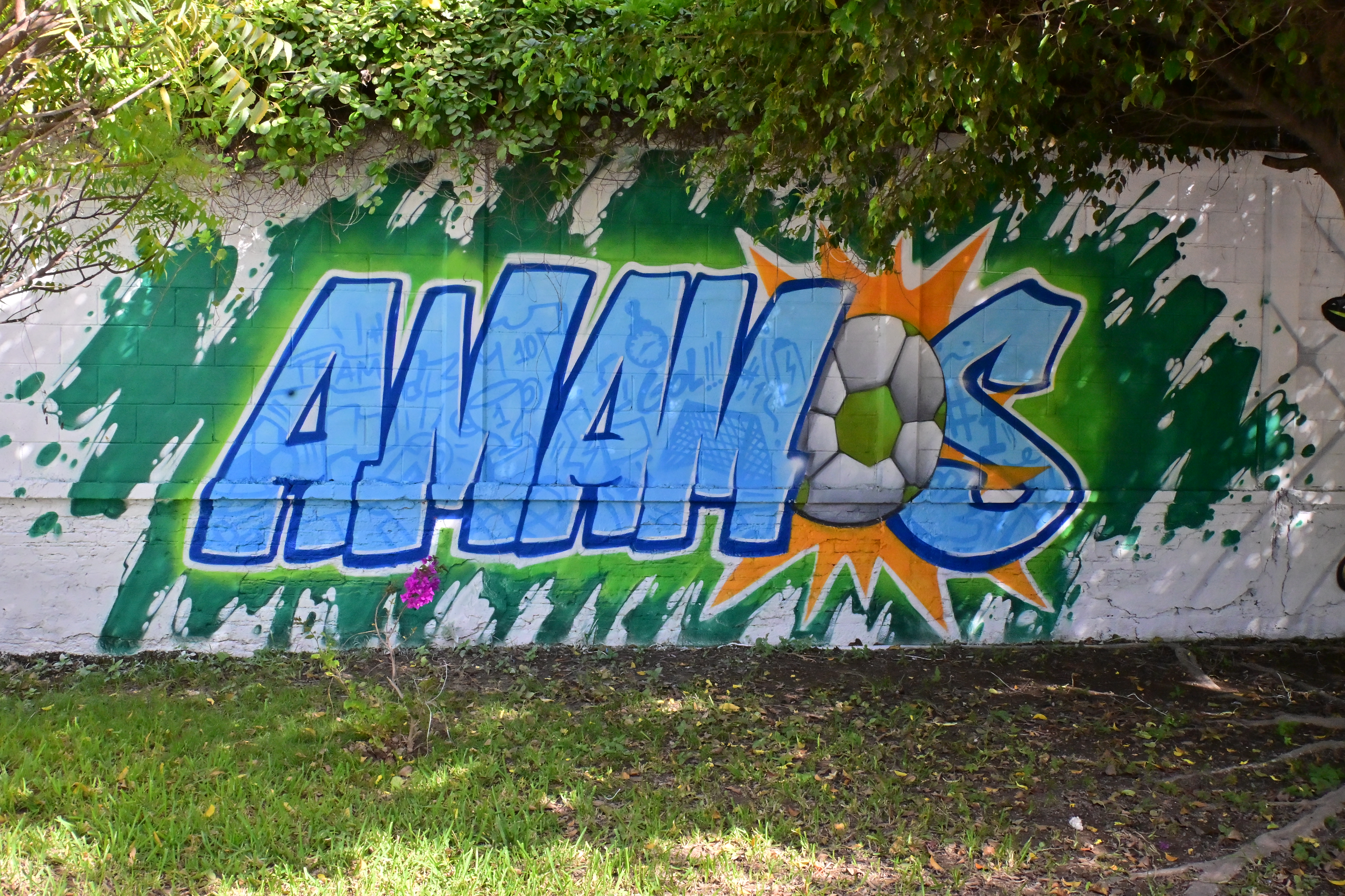 CAMPO DE FÚTBOL DÍAZ ORDAZ