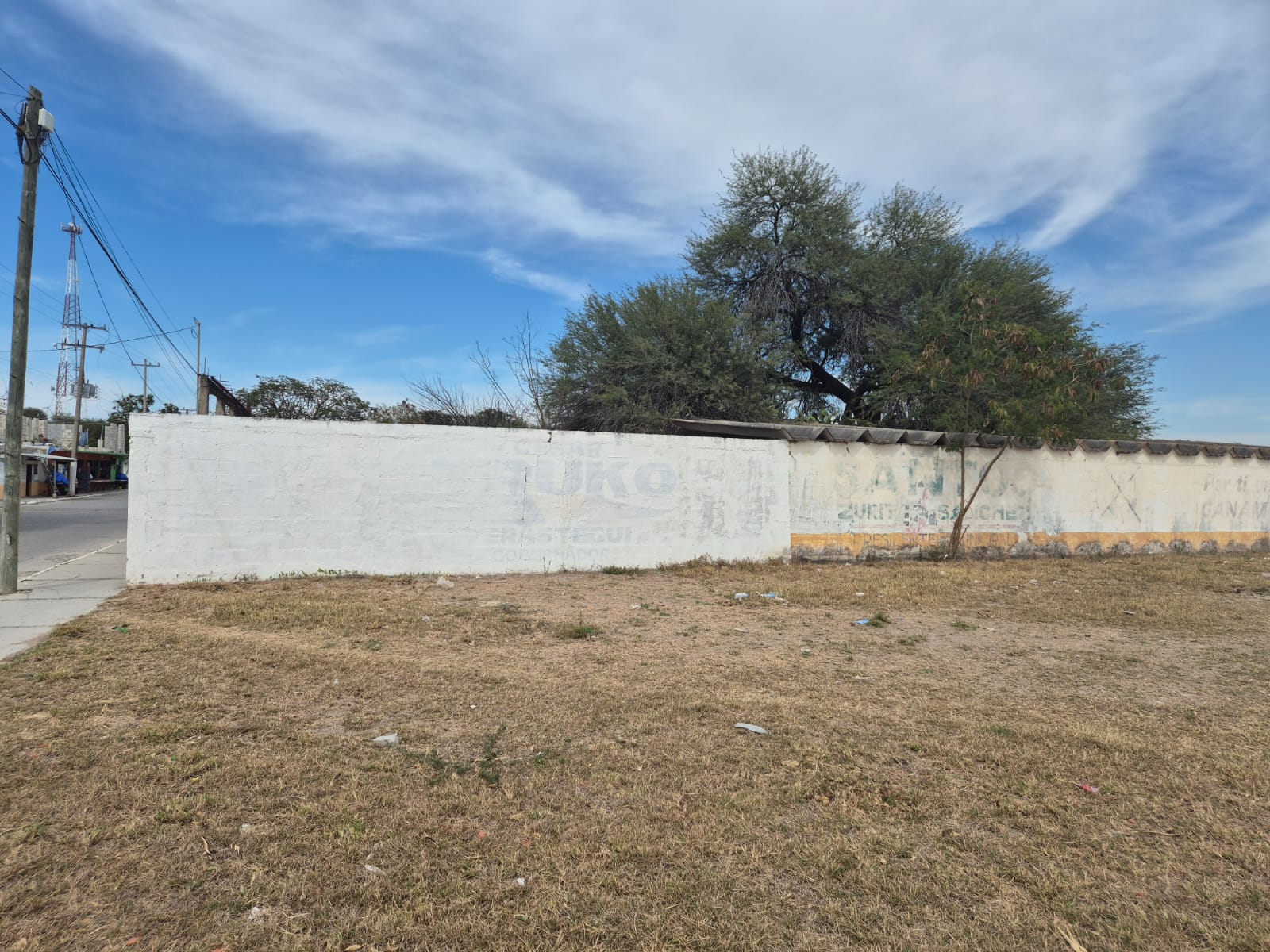 MURAL EN CASAS