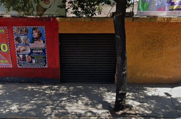 AXOLOTE MUNDIALISTA ERMITA