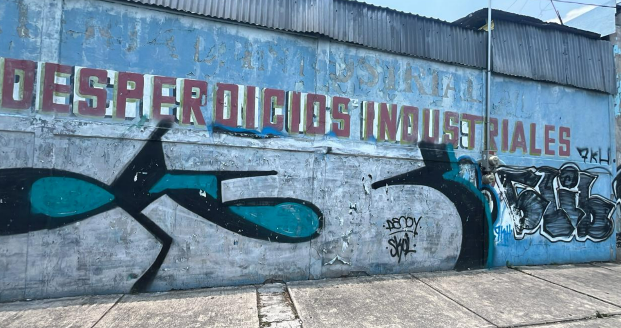 RUMBO AL MUNDIAL EN ZARAGOZA