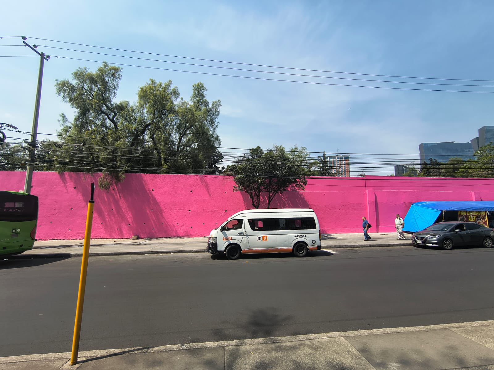 LA CHILENA DE LA SERPIENTE