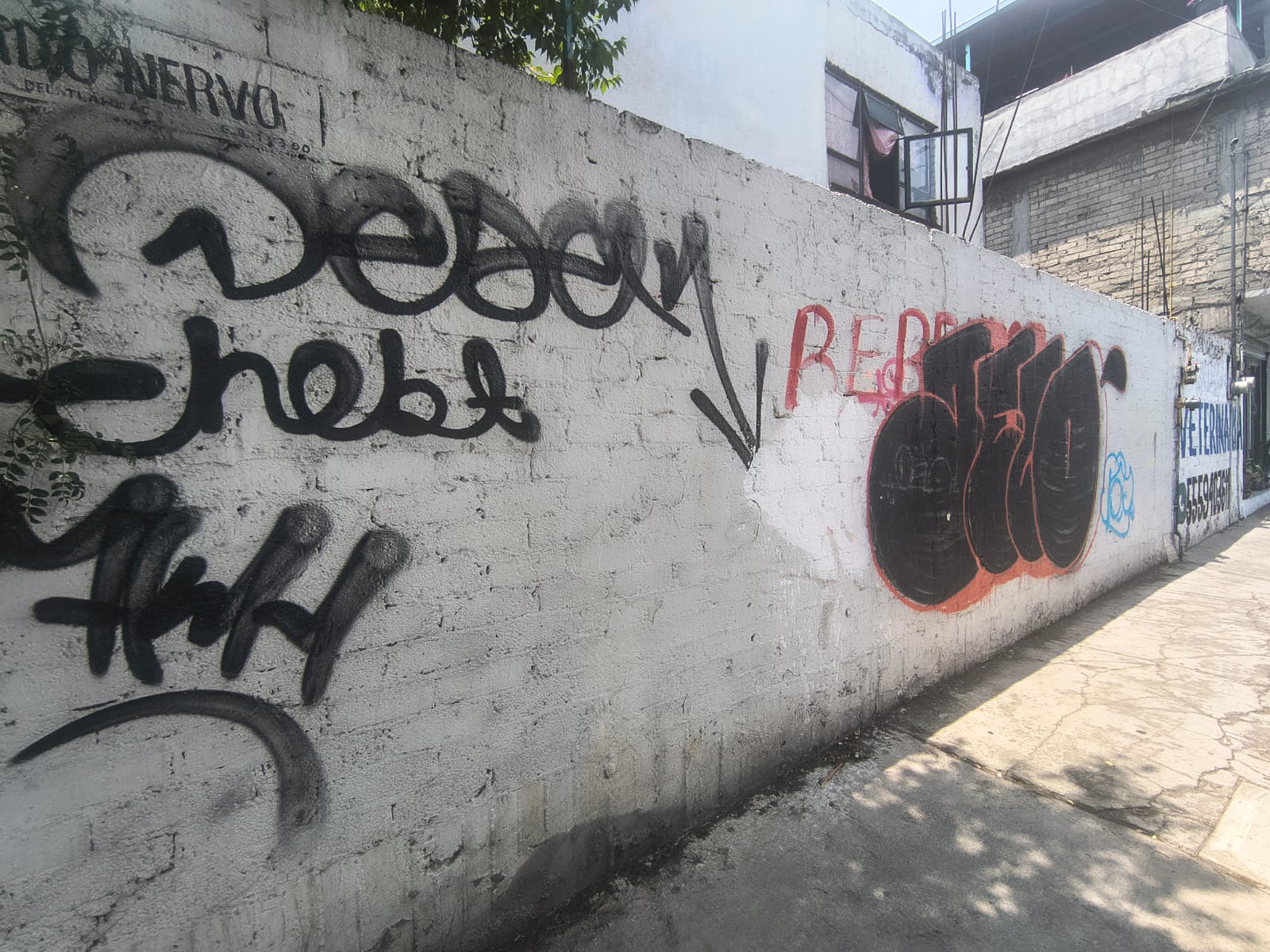 RAÍCES EN TLÁHUAC