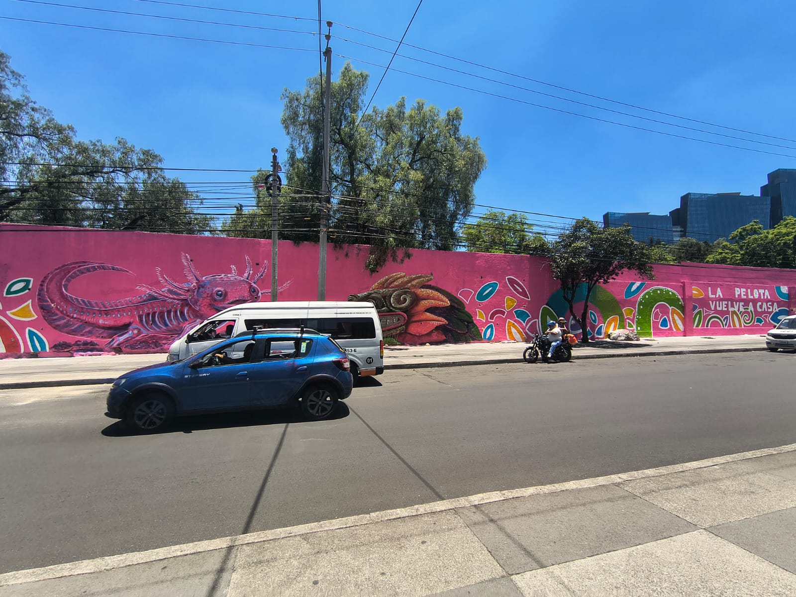LA CHILENA DE LA SERPIENTE