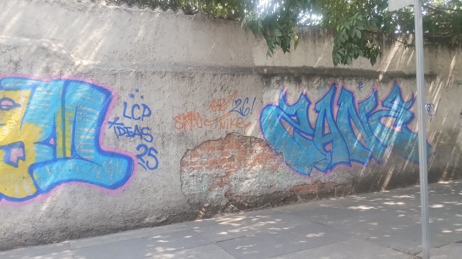 CONVIVENCIA EN EL ASFALTO