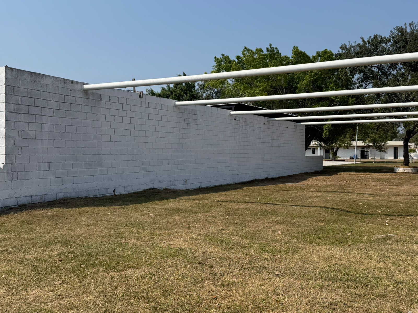 MURAL EN ALTAMIRA