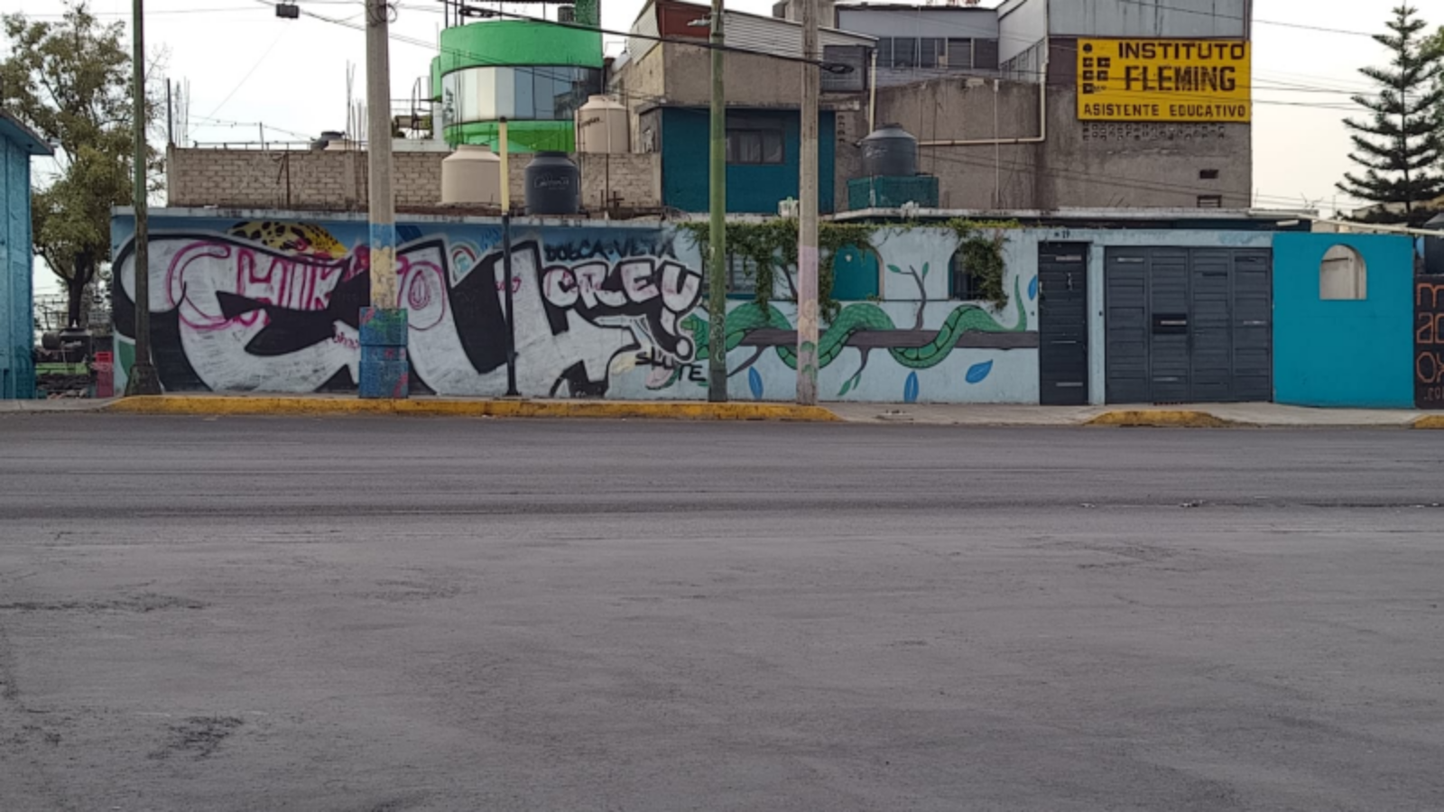 AXOLOTE MUNDIALISTA ERMITA 3