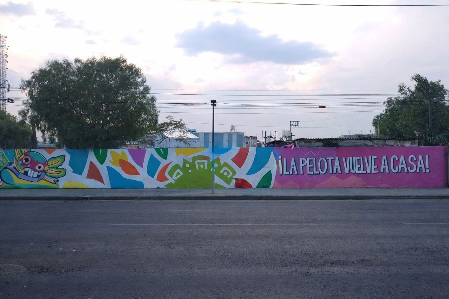 LA PELOTA VUELVE A CASA ERMITA 2