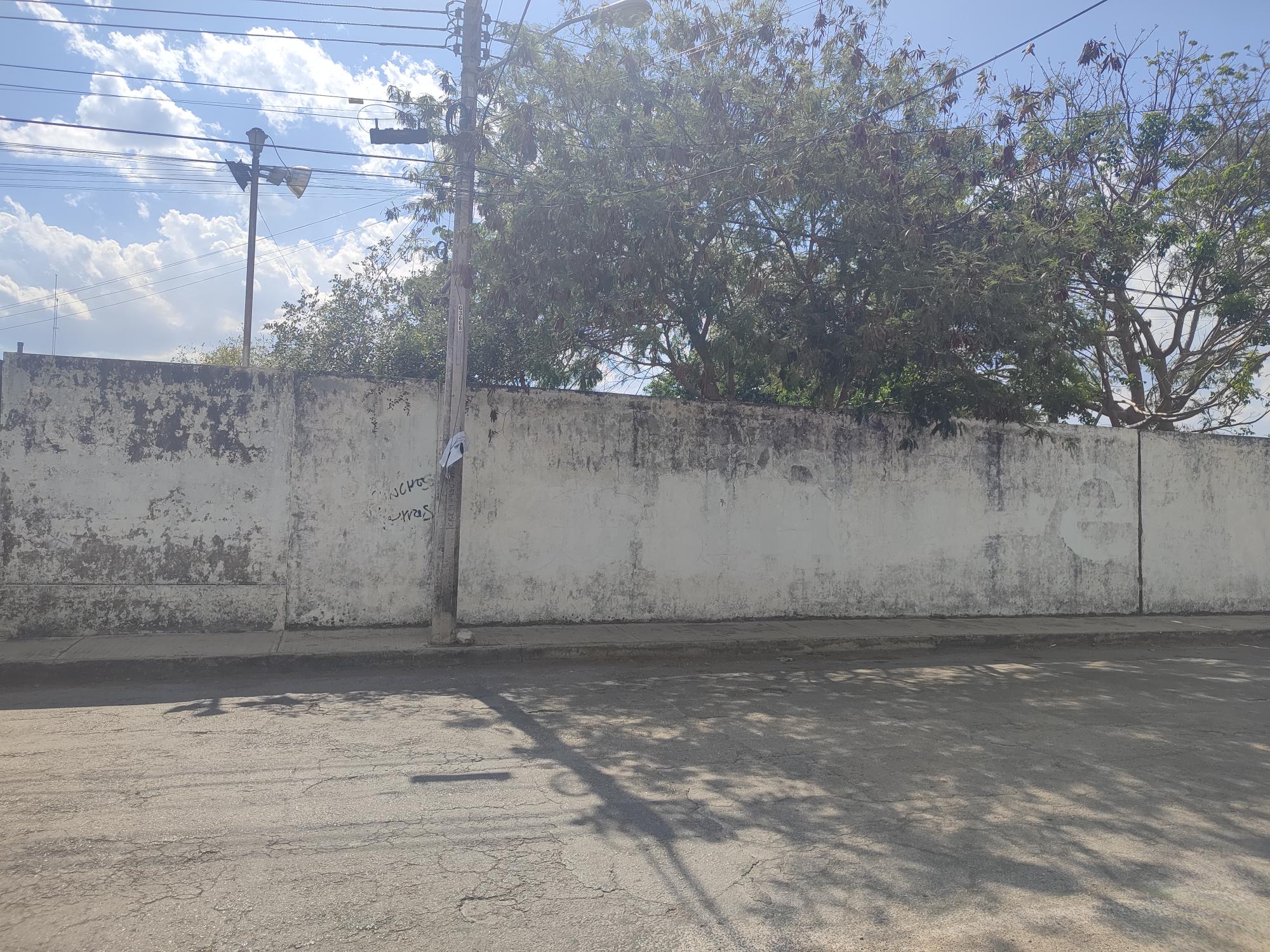MURAL CONALEP PLANTEL MÉRIDA 3