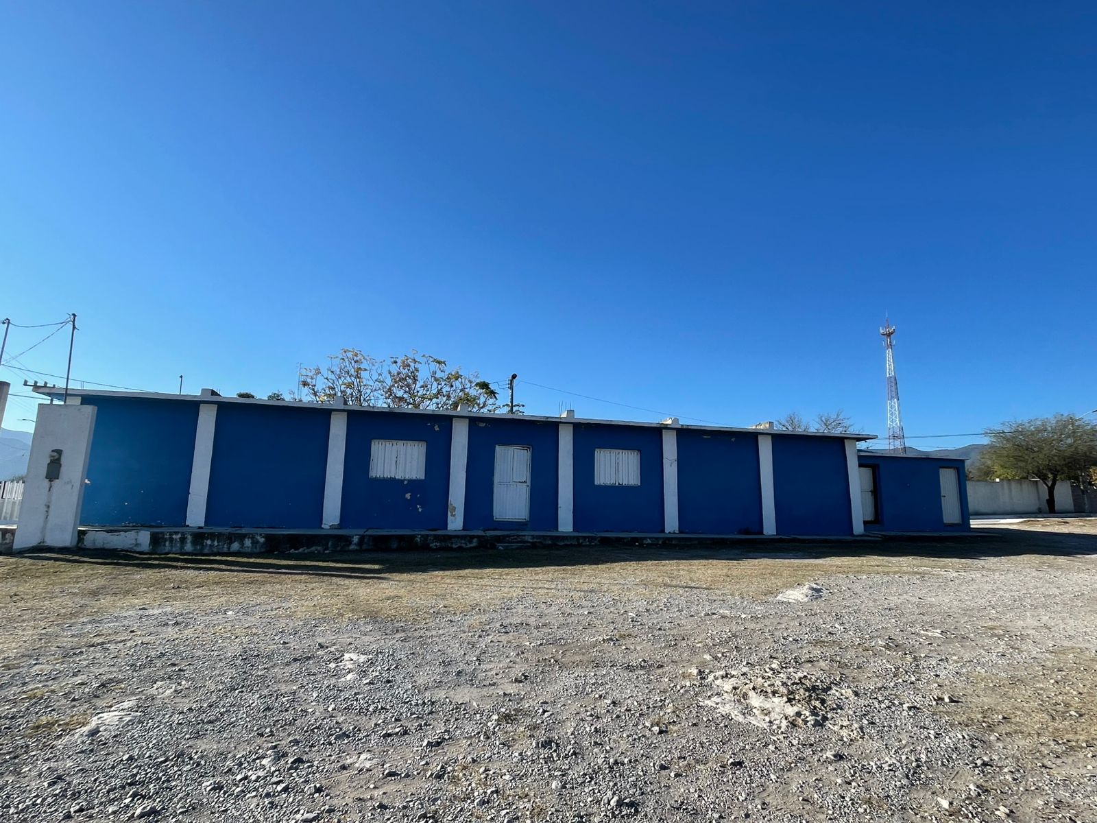MURAL PALMILLAS